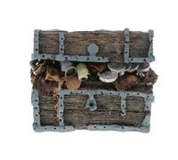 AUYXSSZ Elegant Treasure Chest Fish Tank Decoration Aquarium Aesthetics And Providing Safe Retreats For Fish Made Of And Non- Resin Which Will No Harm To Aquatic Or Plants.