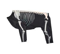 AUYXSSZ for Creative Halloween Skeleton Dog Outfit Costume Parties And Fun Family Gatherings Halloween Pet Costume For Dogs Cats Outfits Puppy Carnival Skeleton Dog Jumpsuit
