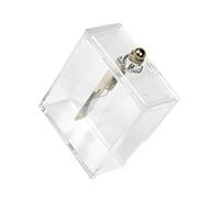 AUYXSSZ Leafs Electroscope Physics Equipment Teaching Aid Essential Compact Lab Demonstrations Ensuring Durability And Longevity. Leafs Electroscope Physics Experiment Electrical