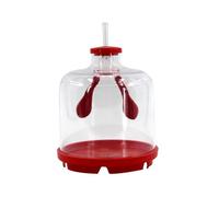 AUYXSSZ Lung Teaching Model Toy Classroom Props Unique Teaching Aid Making Complex Lung Functions Easy To Grasp For Students Lungs Work Education Model For