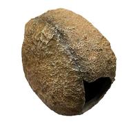 AUYXSSZ Magnetic Aquariums Hideouts Rock Cave Provides Safe Haven For Shrimps And Fish Alike Imitating Natural Rocks Aquarium Hideout Shrimp Hideout Shrimp