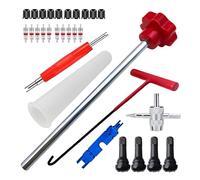 AUYXSSZ Tool For Replacing Leaky Valves Quick Change Tire Valve Tool Kit Easy To Install Tire Valve Stem Core Quickly Replacement Kit For Replacing Leaky, 30PCS