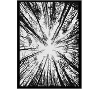 AVA Collections Tapestry Multicoloured Wall Hanging Psychedelic Tapestries Indian Cotton Poster Picnic Sheet Wall Decor Blanket Wall Art Hippie Bedroom Décor (Black and White, Forest/Jungle)