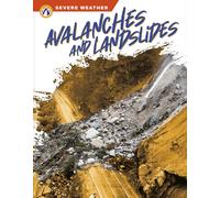 Avalanches and Landslides