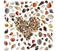 Avalon 400 pcs Tiny Mixed Sea Shells 20-25 Styles Ocean Spiral Seashells Tiny Beach Conch Shells Marine Life Seashells for Beach Theme Party, Resin Craft, Candle Making, Wedding Decor, Fish Tank