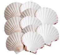 Avalon Cosmetic Packaging Scallop Shells (10 x Large 10-13cm Sized Scallop Shell) for Dinner Party, Food Presentation, Appetizers etc