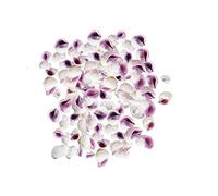 AVALON Tiny Sea Shells Small Mixed Ocean Beach Shells for Craft, Resin, Candle Making, Fish Tank and Coastal Art (Purple Periwinkle 100g)