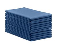 Avalon Towels Surgical Huck Towels (Pack of 12) Size 17x26 Inches, 100% Cotton Cleaning Cloths, Multi-Purpose, Perfect for Hospitals and Home (Blue)