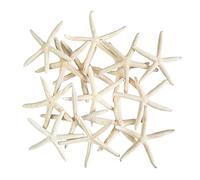 Avalon White Starfish ~ Small White Pointer Starfish 5-8cm ~ Sea Star Shell Beach Wedding Display Craft Decor - Pack of 12
