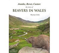 Avanke, Bever, Castor: the story of Beavers in Wales.