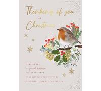 Avant Garde Studios Christmas Card Thinking Of You Robin - 9 X 6 inches
