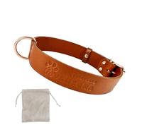 AVANZONA Dog Collar Leather, Quality Soft Leather, Handmade in Spain, Small Medium Large Dog. Cognac and Rose Gold.