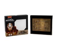 Avatar The Last Airbender: Metal World Map