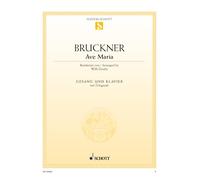 Ave Maria: low voice (original, f - g flat'') and piano. grave.