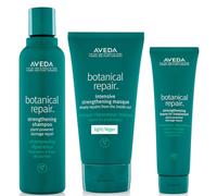 Aveda Botanical Repair Routine