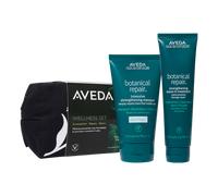 Aveda Botanical Repair Wellness Gift Set