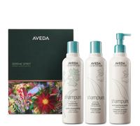 Aveda Serene Spirit (Worth £72)