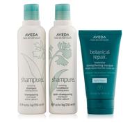 Aveda Volumizing Shampure & Botanical Repair 3 Piece Edit