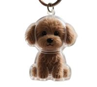 [Avejjbaey] Pet Fur Collector Keychain Dog Shape Hair Storage Keepsake Key Ring Pet Hair Storage Keychain Accessories, o, 小型