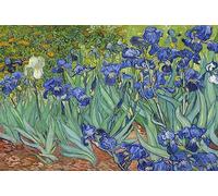 AveJoys Jigsaw Puzzles for Adults 1000 Piece Irises by Vincent Van Gogh 27.56 x 19.69 Inch Puzzles for Adults Educational Challenge Toy 1000 Pieces Van Gogh Puzzles for Adult