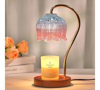 AVEKI Cute Candle Warmer Lamp, Dimmable Strawberry Lamp with Timer & 2 Bulbs, Electric Wax Melter, Birthday Valentine's Day Gift for Women Mother, Housewarming Gifts New Home (Pink Blue)
