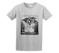 Avenged Seven Fold Afterlife Men T-Shirt Graphic Short-Sleeve Top Tees Gray S