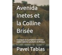 Avenida Inetes et la Colline Brisée: Chroniques de la périphérie mexicaine: realism réalisme suburbaine de Mexique