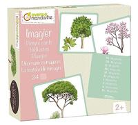 Avenue Mandarine - Ref JE525C - Multilingual Picture Cards - Tree Designs - Features 10 European Languages, 24 Beautiful Illustrations, Create Your Own Game, Suitable for Ages 2+