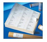 Avery 1FT3913-500 Computer Labels 107 x 48.8 mm Box of 3,000