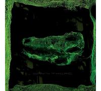 Avey Tare - Down There