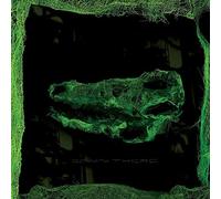 Avey Tare - Down There [VINYL]