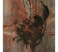 Avey Tare's Slasher Flicks - Enter the Slasher House