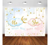 Avezano He or She Gender Reveal Backdrop Pink and Blue Cloud What Will Baby Be Photography Background Gold Star Moon Newborn Gender Reveal Party Decorations Photo Booth Props (8x6ft)