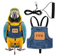 Avian Training Tether - Adjustable Parrot Vest, Elastic Bird Walking, Soft Fabric Mesh Vestment, Preventing Accidental Flying Escapes, Outdoor Yard Backyard Training, Medium Breed Green Guard