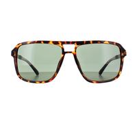 Guess Sunglasses GF5085 52N Dark Havana Green