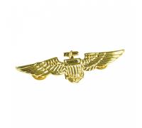 Bristol Novelty BA027 Aviator Pin | Metal | Gold, mens, One Size