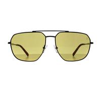 Aviator Shiny Dark Nickeltin Brown Polarized TB00009 Sunglasses Timberland Grey One Size