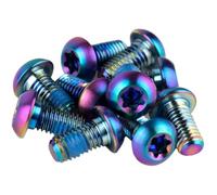 Sram Rotor Bolt Titanium T25 Chainring Screw Set 12 Units