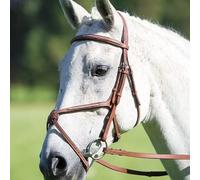 Avignon Grackle Bridle Oak - Pony · Oak