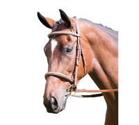 Avignon Hunter Leather Horse Cavesson Bridle Oak Brown (Pony)