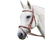 Avignon Padded Leather Horse Bridle Oak Brown (X Full)
