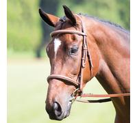 Avignon Padded Raised Cavesson Bridle - Extra Full · Oak