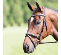 Avignon Padded Raised Flash Bridle - Full · Havana