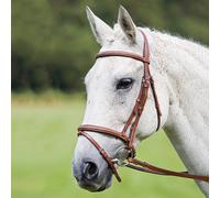Avignon Padded Raised Flash Bridle - Full · Oak