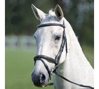 Avignon Padded Raised Flash Bridle - Pony · Black