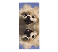 AvImYa Cute Pomeranian Skincare Absorbent Towel, Super Fiber Absorbent Towel, Suitable For Bathrooms , Spas 30x70