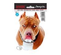 Avisa Auto Tattoo Sticker Pit Bull - 11x14,5cm
