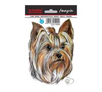 Avisa Auto Tattoo Sticker Yorkshire Terrier - 11x15,5cm