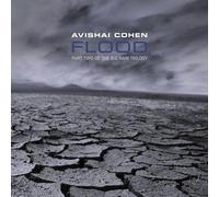 Avishai Cohen – Flood