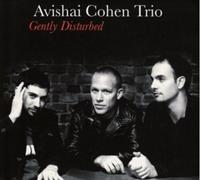Avishai Cohen Trio - Gently Disturbed - 12" Vinyl Album - 2010 - Integral